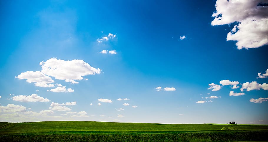 sunny, landscape, green grass, grass, blue sky, sly, clouds, scenery, earth, sky