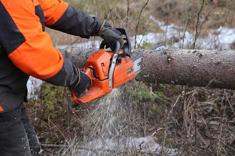 forest, tree, chainsaw, logger, log, six, working, occupation, orange color, one person