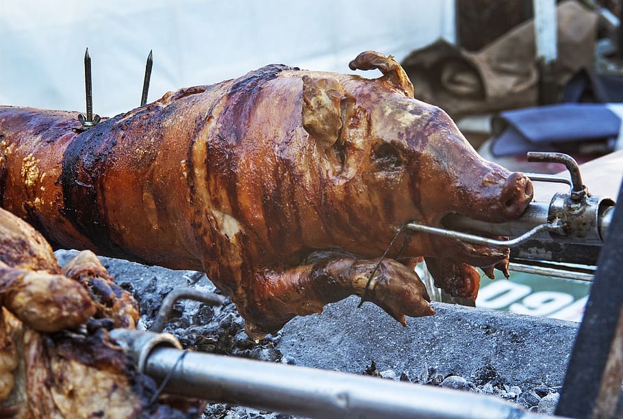 suckling pig, pig roast, rotisserie, barbecue, crispy, delicious, pork, spit, bulgaria, holidays