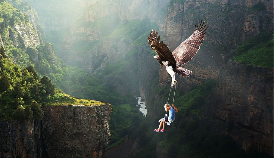 nature, waters, flying, adventure, adler, fantasy, landscape, dreams, miracle, enthusiasm