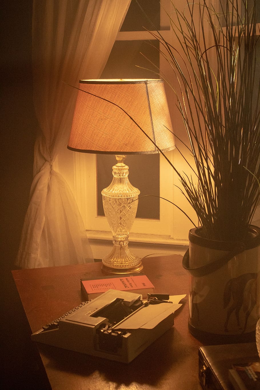 lamp, typewriter, desk, scene, nighttime, plant, indoors, vase, table, lighting equipment