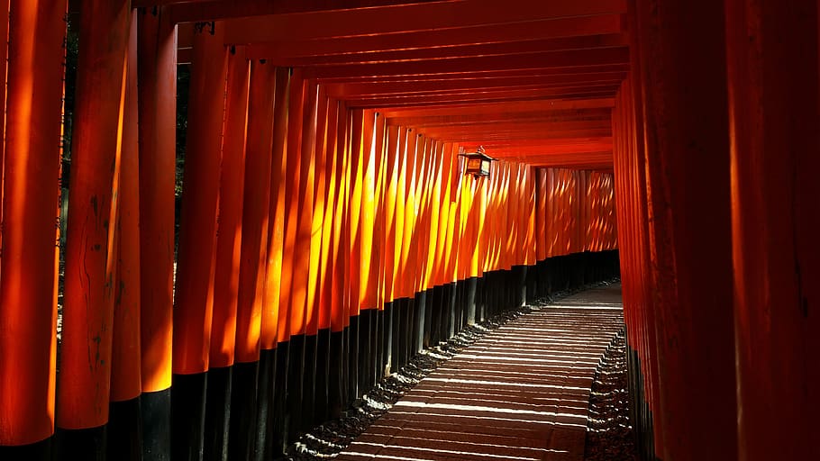 japanese, fushimi inari, shrine, travel, kyoto, light, solitude, rhythm, reflection, pattern