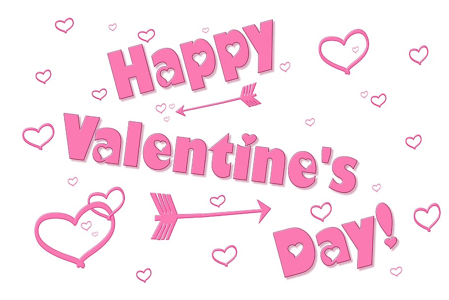 San Valentín, amor, romántico, corazón, relación, novela, rosa, día de San Valentín, gato, feliz