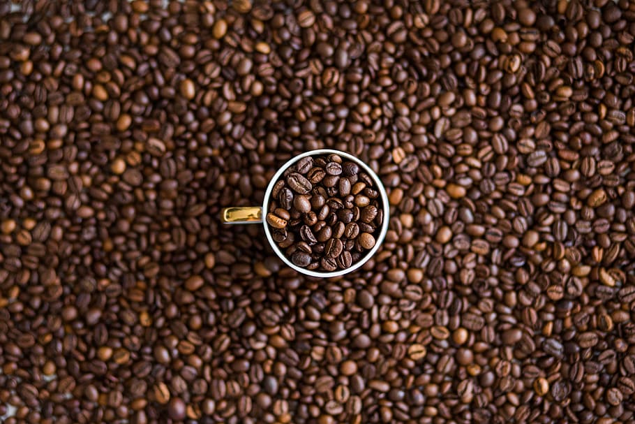 coffee, beans, coffee beans, cocoa, caffeine, starbucks, costa, nero, mocha, frappacino