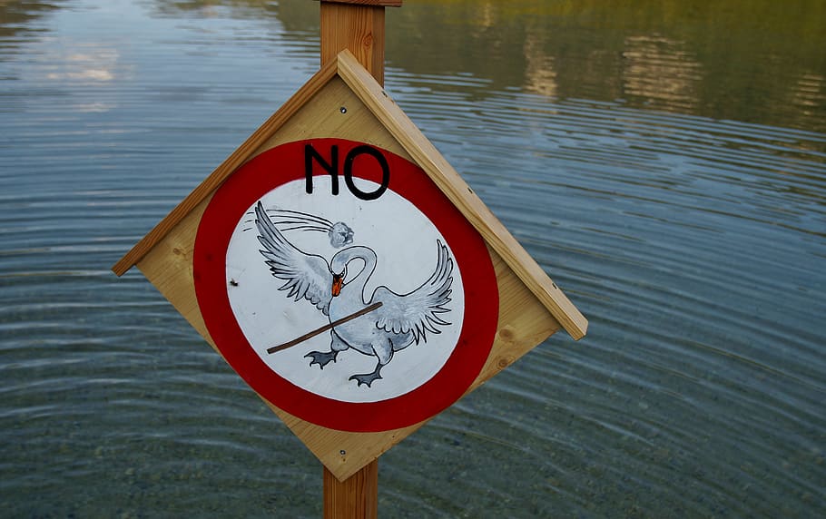 lake, brand, ban, if it wasn't, don't throw, stones, swan, hurt, signs, alerted