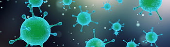 Image result for germs and viruses