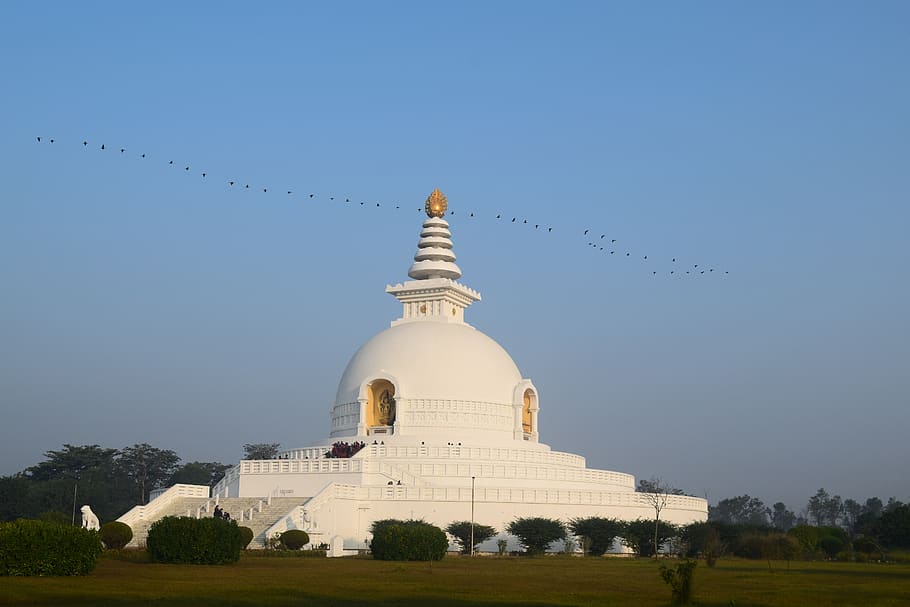 stupa, bouddha, birds, sky, green, nepal, lumbini, buddhism, peacestupa, architecture