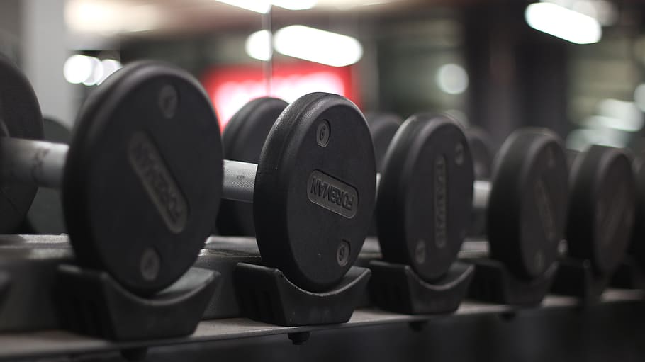 weights, gym, dumbbell, indoors, weight, industry, focus on foreground, weight training, in a row, strength