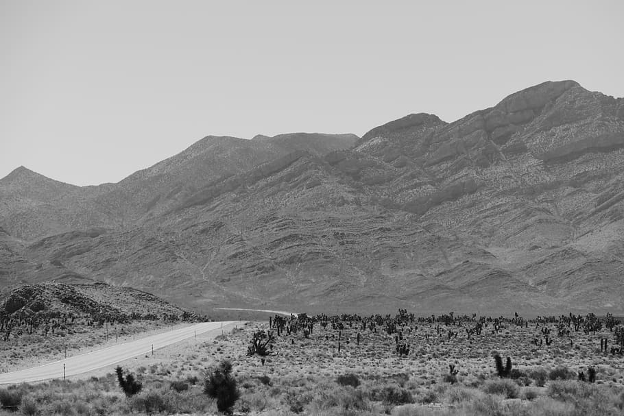desert, road, black, white, landscape, travel, highway, outdoors, scenic, dry