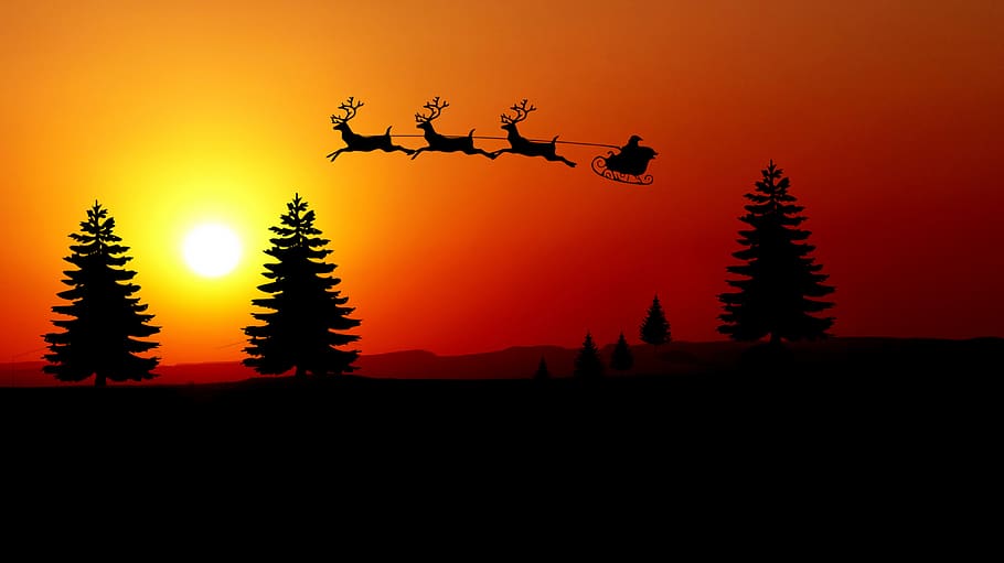 sunset, fir, rennes, sled, pere noel, sky, landscape, tree, christmas, holiday