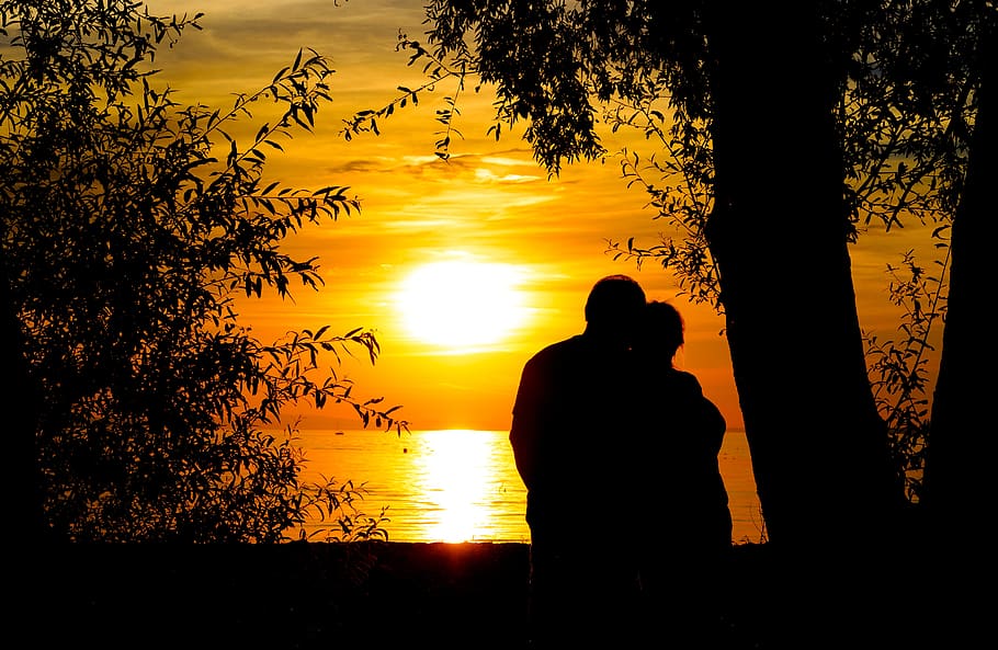 puesta de sol, lago, romance, amantes, abendstimmung, junto al lago, silueta, árbol, color naranja, planta