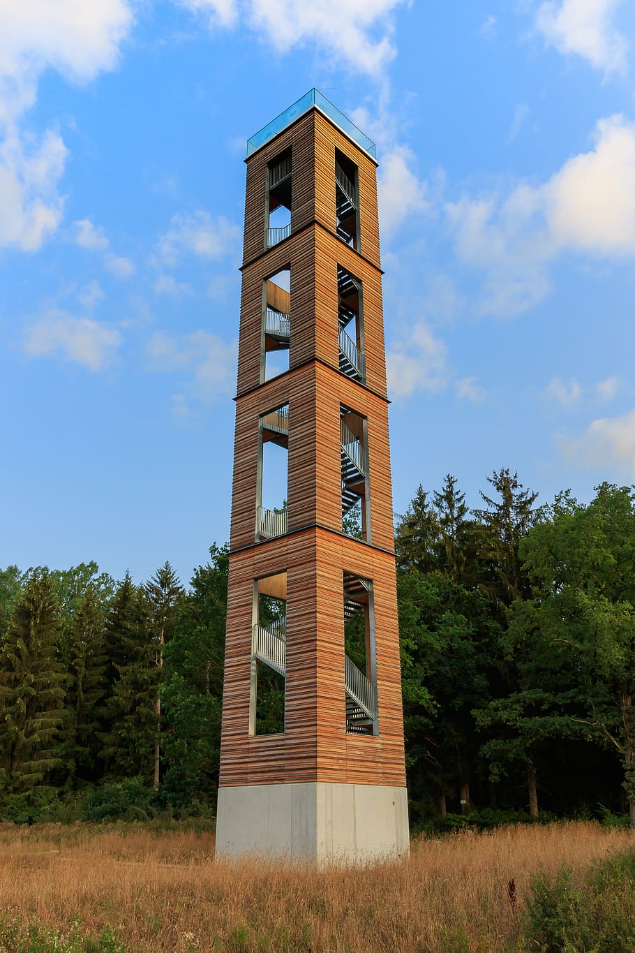 observation tower, tower, bannwald, spell forest tower, pfrunger castle hamlets of ried, reed, nature conservation, landscape protection, architecture, view