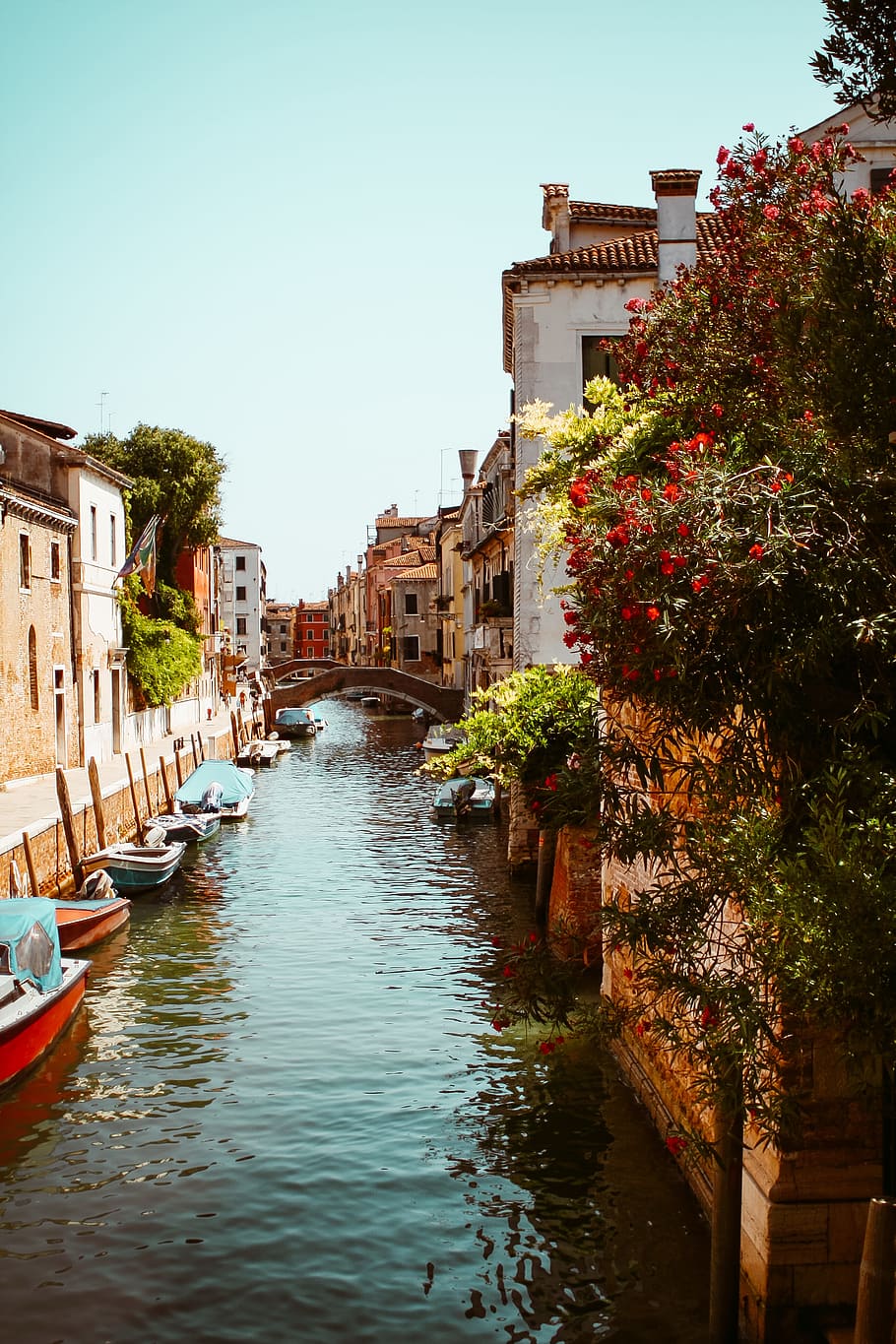 venice canals, italy, architecture, boats, canal, city, europe, flowers, historic, historical, houses