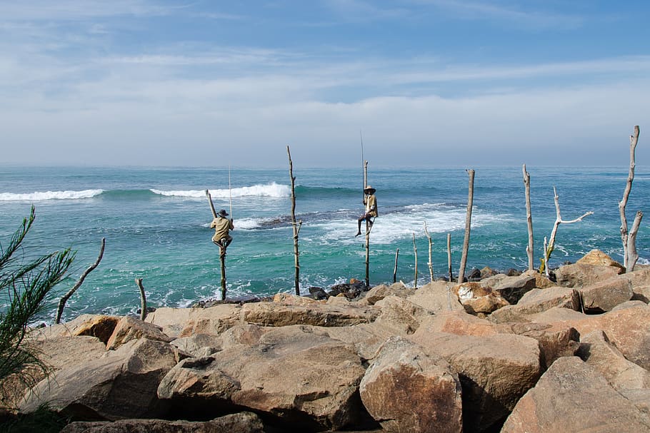 stilt fishing, fisherman, fishing, sea, ocean, traditional, sri lanka, tourism, water, rock