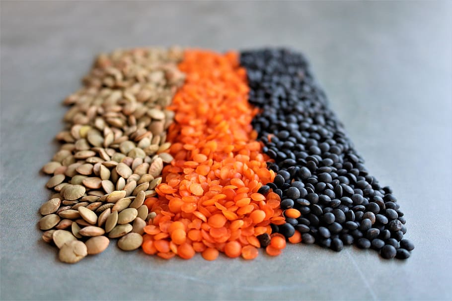 lentils tricolora, cooking, diet, healthy, ingredients, legumes, lentils, vegan, vegetarian, food