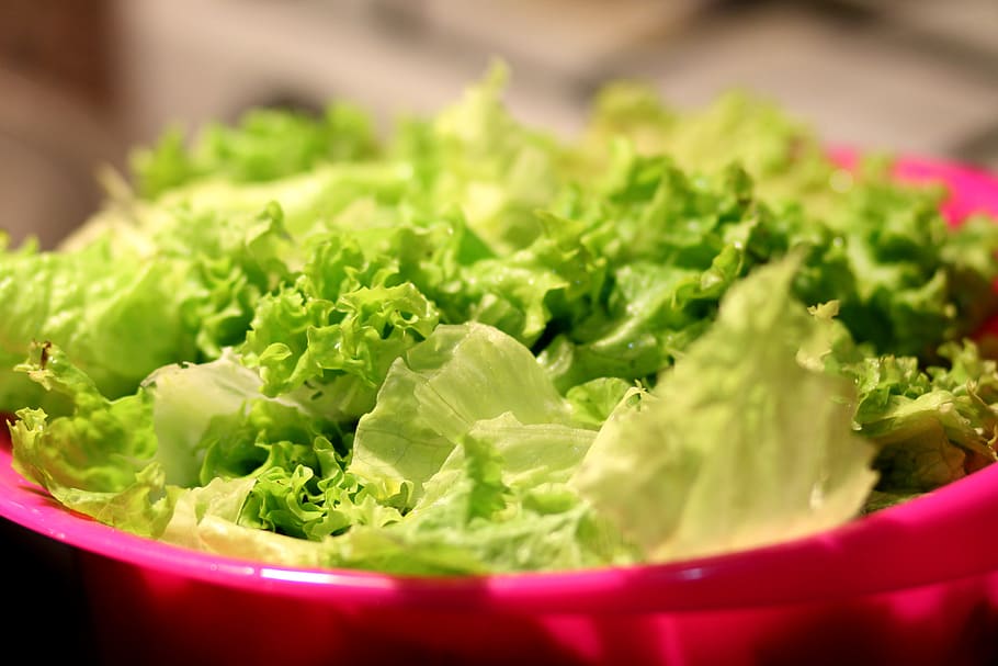 makanan, salad, selada, sehat, sayuran, hijau, makanan dan minuman, makan sehat, sayur-mayur, kesejahteraan