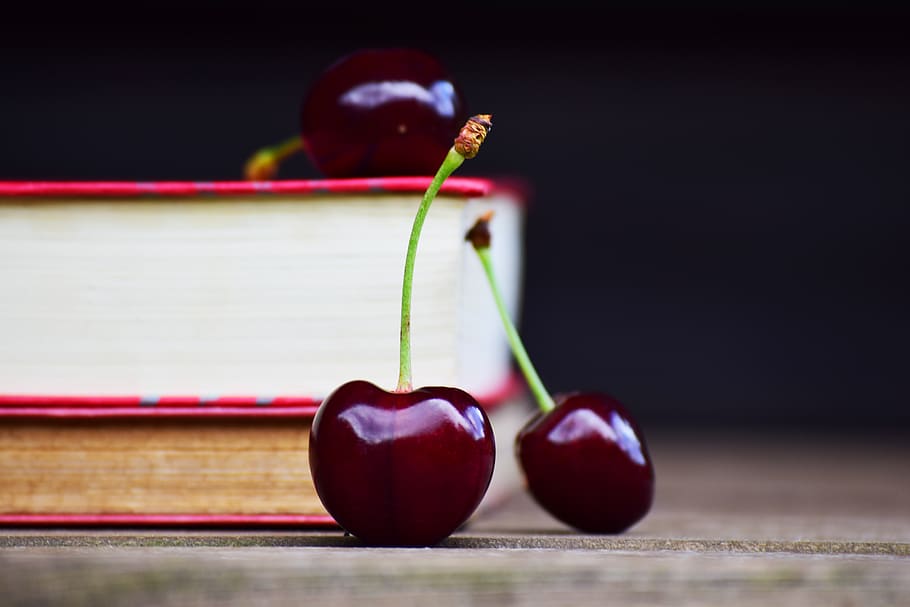 books, cherries, read, sweet cherries, fruit, literature, education, knowledge, study, school