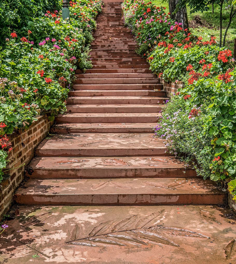 steps, garden, chiang mai, botanical gardens, pathway, path, architecture, green, stairs, park