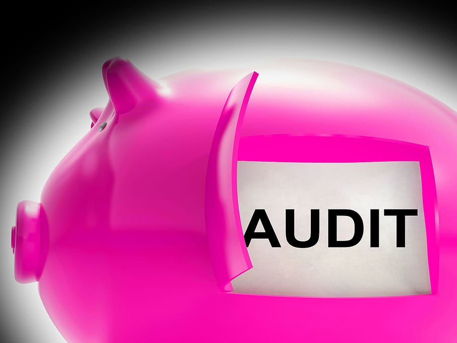 audit, piggy, bank, pesan, makna, inspeksi, validasi, analisis, auditor, audit keuangan