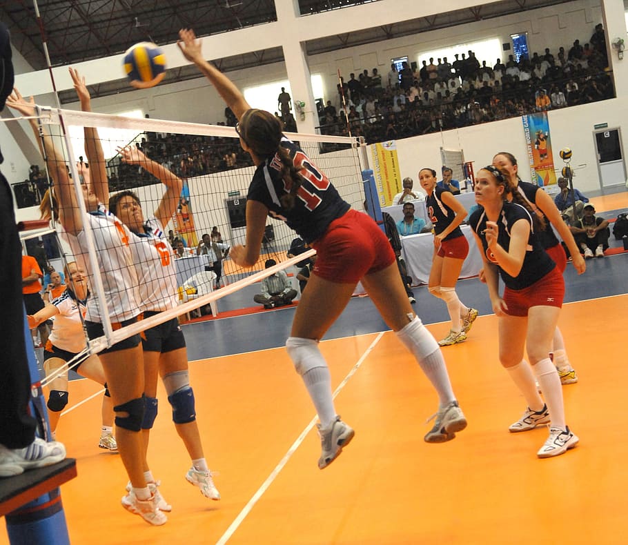 championship, college, sport, volley, volleyball, thrill, group of people, real people, playing, competition