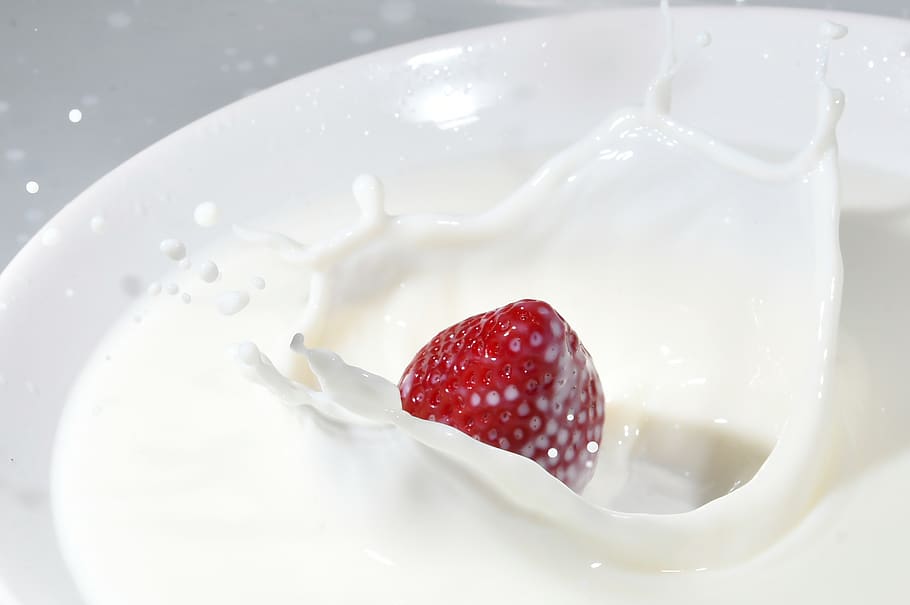 milk, white, food, sweet, fresh, drink, eat, yogurt, fine, cow's milk