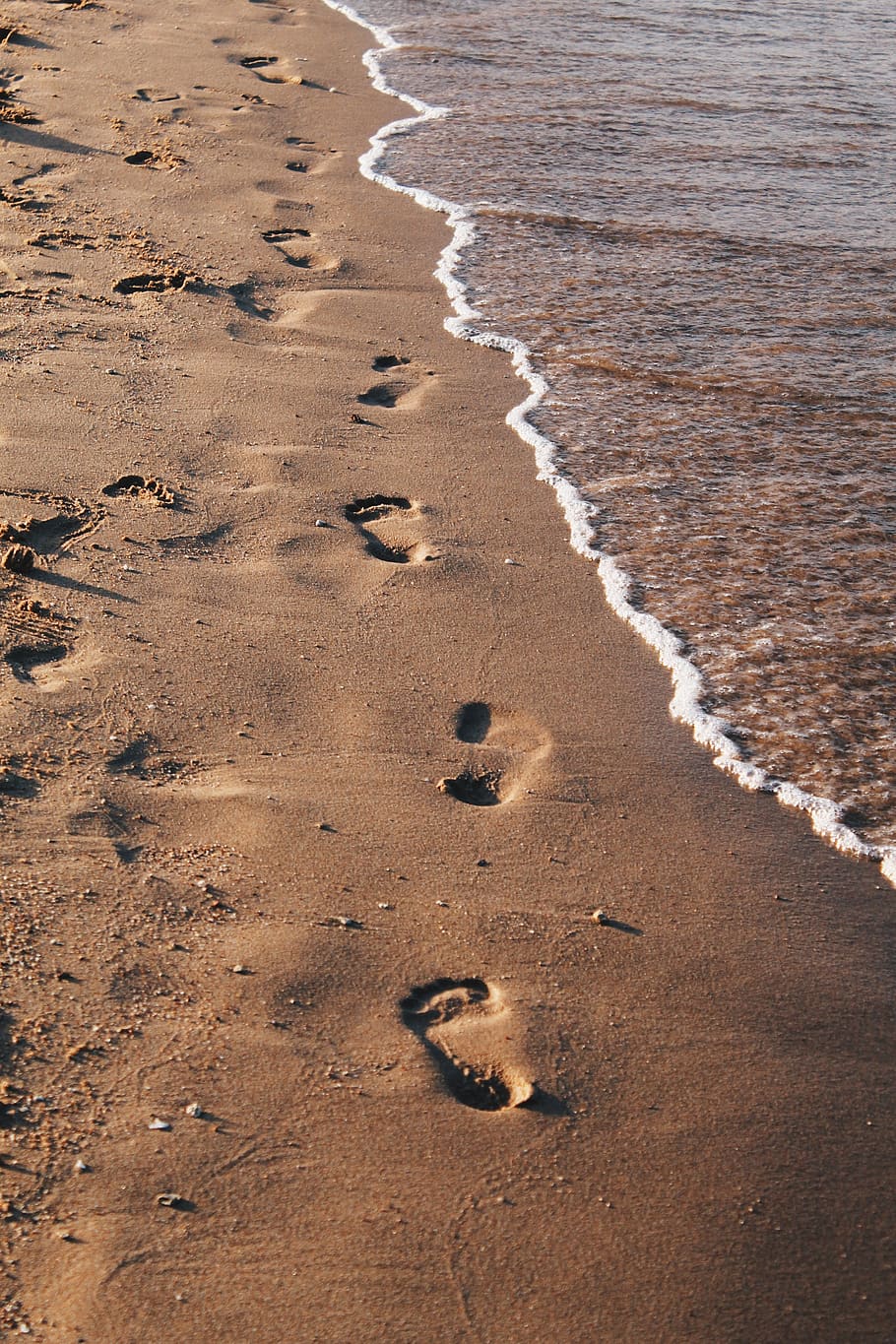 sea, beach, sand, tracks, egypt, red sea, land, footprint, nature, water