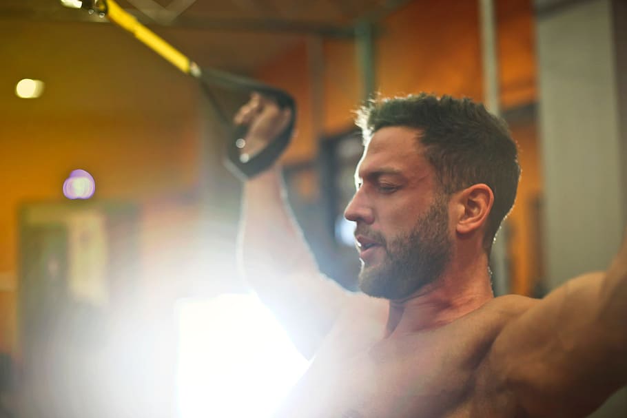 man, workout, gym, studio, male, weights, muscles, beard, people, sport