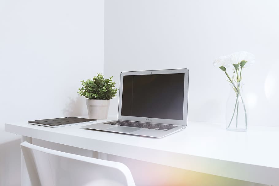modern, putih, kantor, interior, laptop, teknologi, teknologi nirkabel, komputer, tanaman, di dalam ruangan