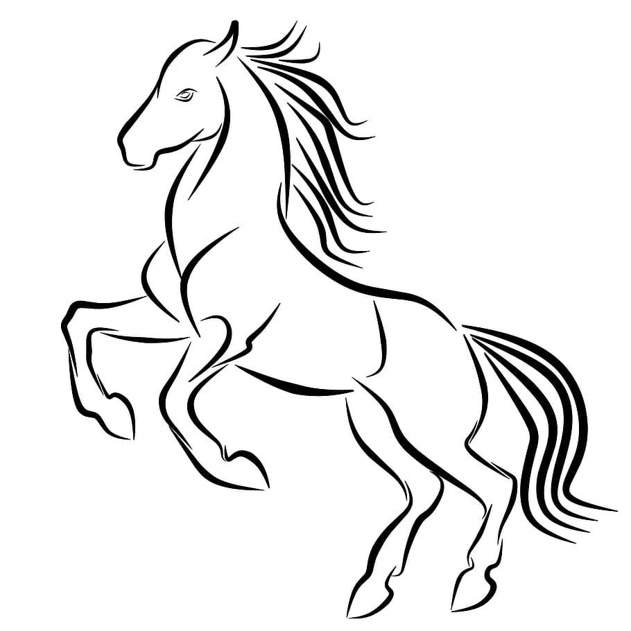 ilustrasi garis, kuda, pemeliharaan., tato, logo, lompatan, garis, mustang, hitam, kekuatan