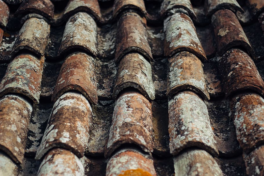 tile, rooftop, roof, full frame, backgrounds, roof tile, close-up, pattern, textured, day