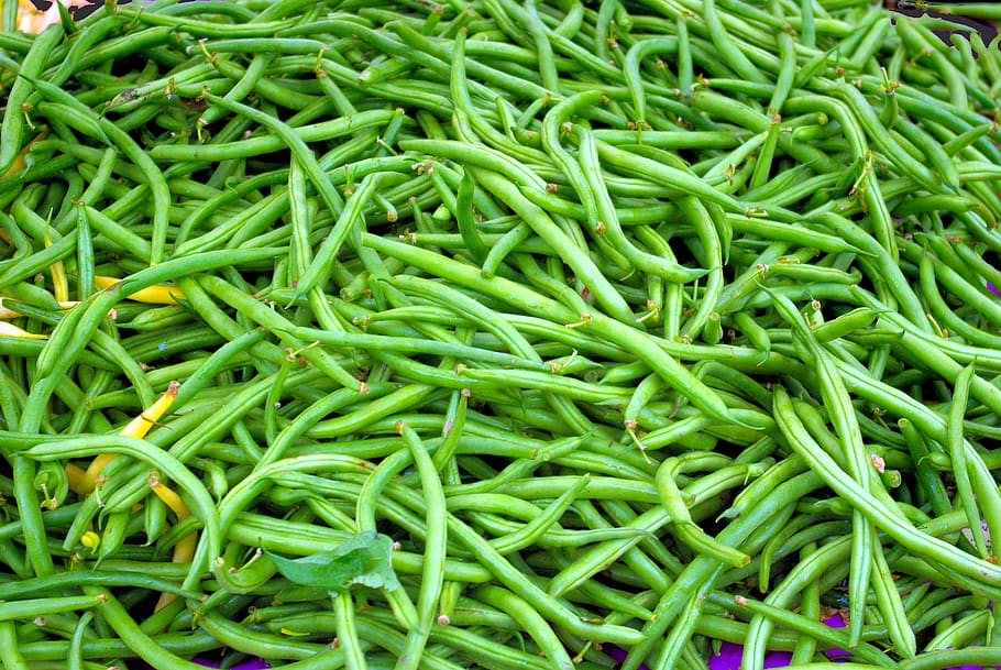 pasar pertanian kacang, kacang polong, hijau, dane, daerah, petani, pasar, wisconsin, mentah, lezat