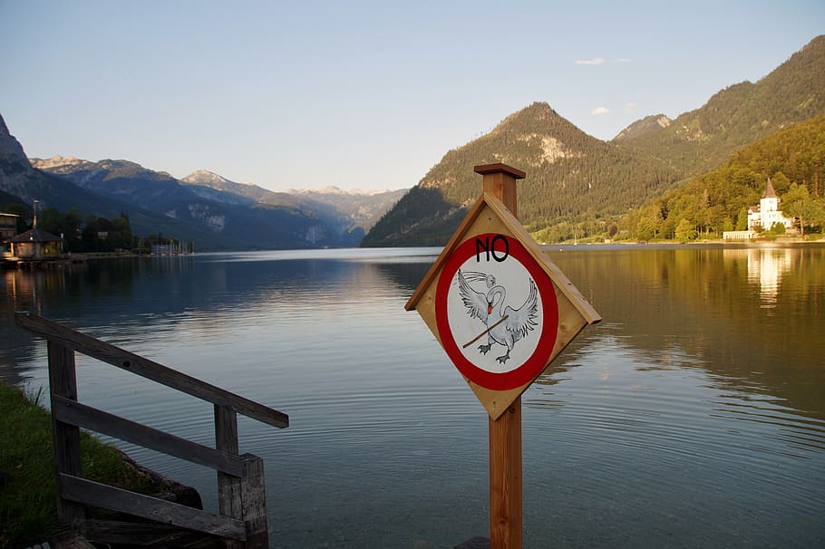 grundlsee, austria, alps, lake, brand, ban, swan, if it wasn't, signs, warning
