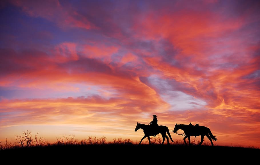 sunset, silhouette, cowboy, horse, dusk, dom, landscape, nature, west, wild