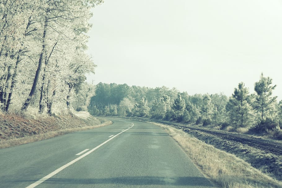 road, pavement, highway, rural, trees, country, sky, tree, plant, transportation