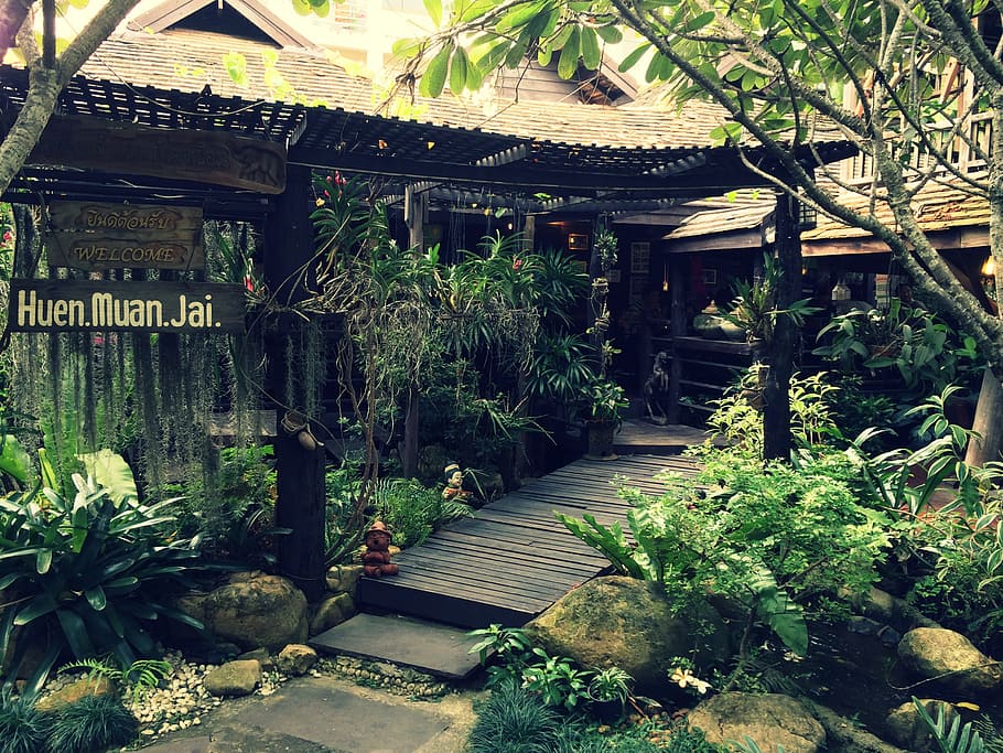 chiang mai, tailândia, restaurante, plantas, jardim, tropical, folhas, planta, arquitetura, estrutura construída