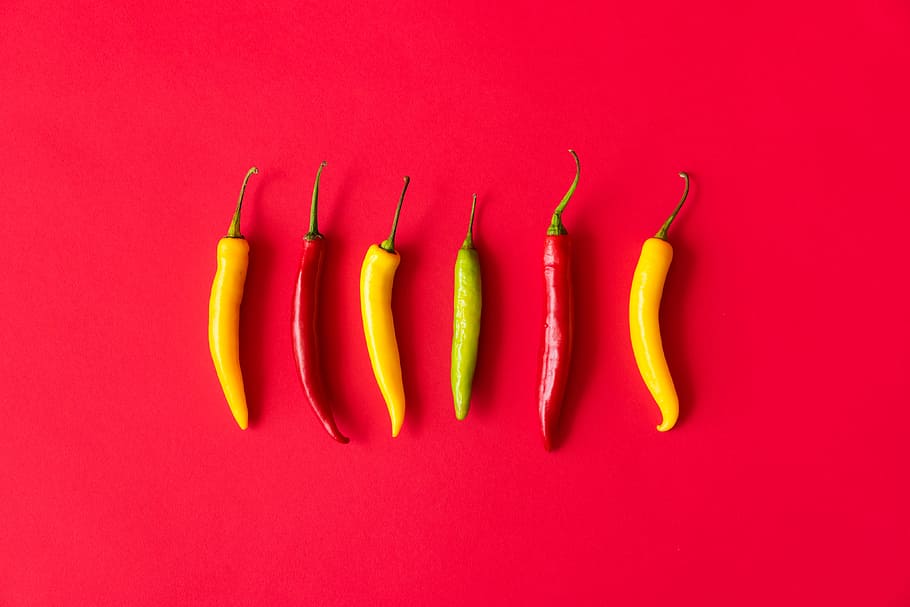 vermelho, amarelo, verde, quente, malagueta, agricultores, comida, admirador, jardim, pimenta