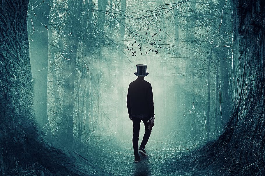 manipulation, foggy forest, man, night, top hat, full length, one person, standing, tree, nature