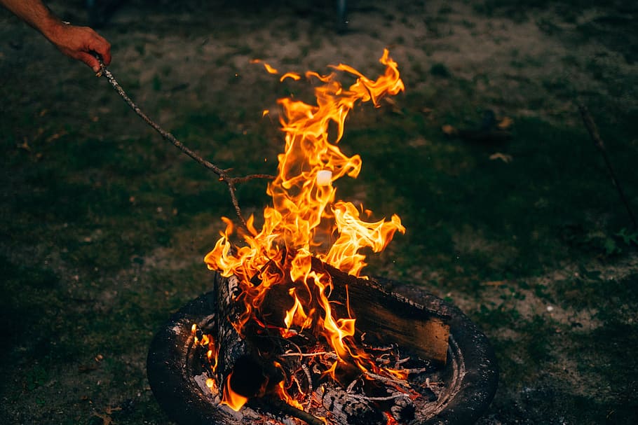 огонь, пламя, костер, темно, ночь, тепло, трава, дрова, горение, огонь - природное явление