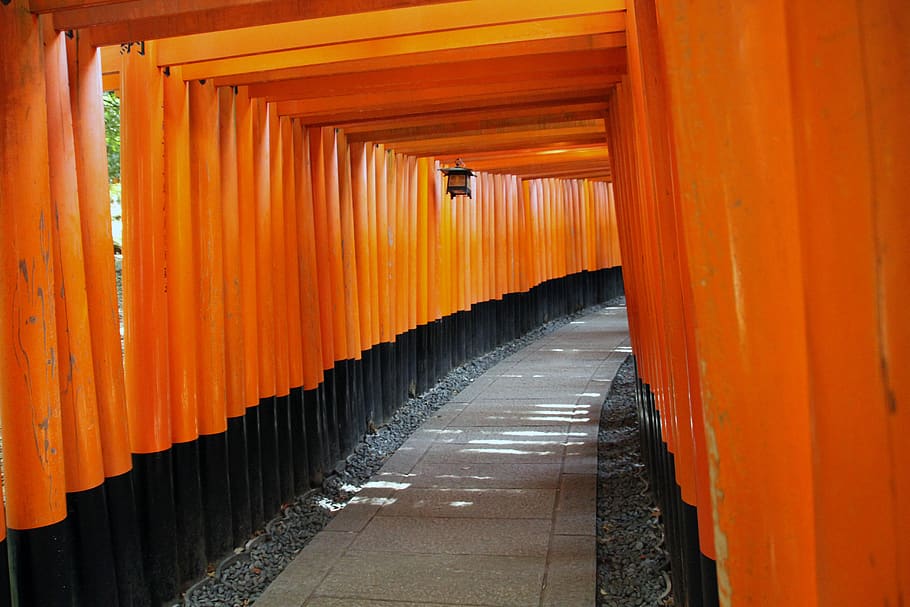 japanese, shrine, culture, religious, fushimi inari taisha, god inari, kyoto, japan, sightseeing, orange color