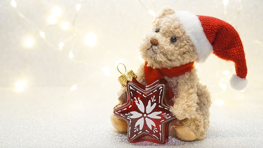navidad, adviento, peluche, oso de peluche, oso, nicholas, lindo, dulce, saludo de navidad, tarjeta de navidad