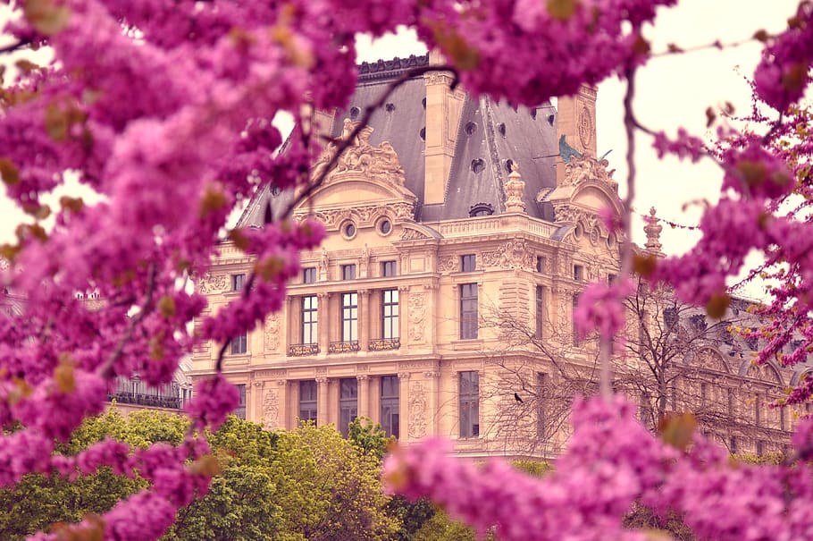 primavera, parís, bloom, árbol, jardín, francia, arquitectura, ciudad, histórico, plantas