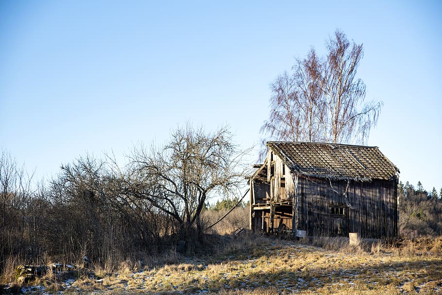 winter, hovel, old barn, tree, house, agricultural, building, barns, grass, himmel
