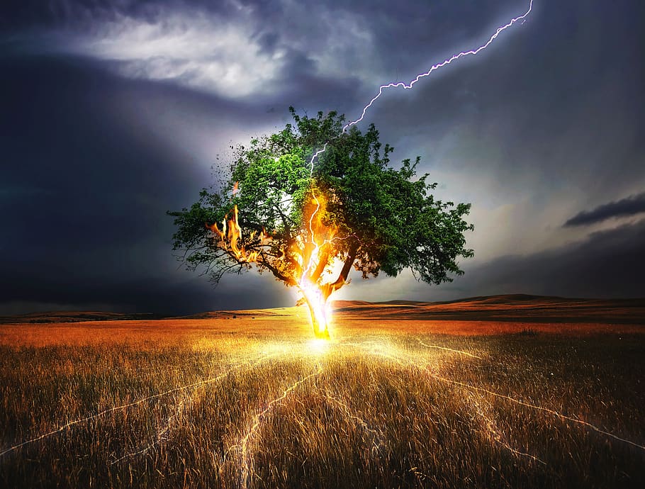 flash, lightning weft, impact, weather, storm, gloomy, thunderstorm, dusk, threatening, mood
