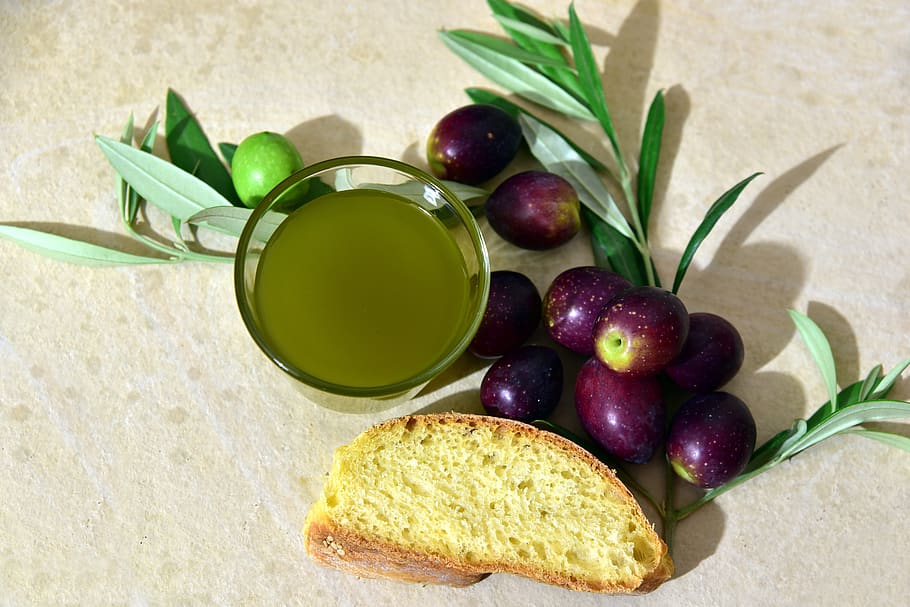 olive oil, olives, bread, olive branch, mediterranean, starter, eat, food, fresh, giaraffa