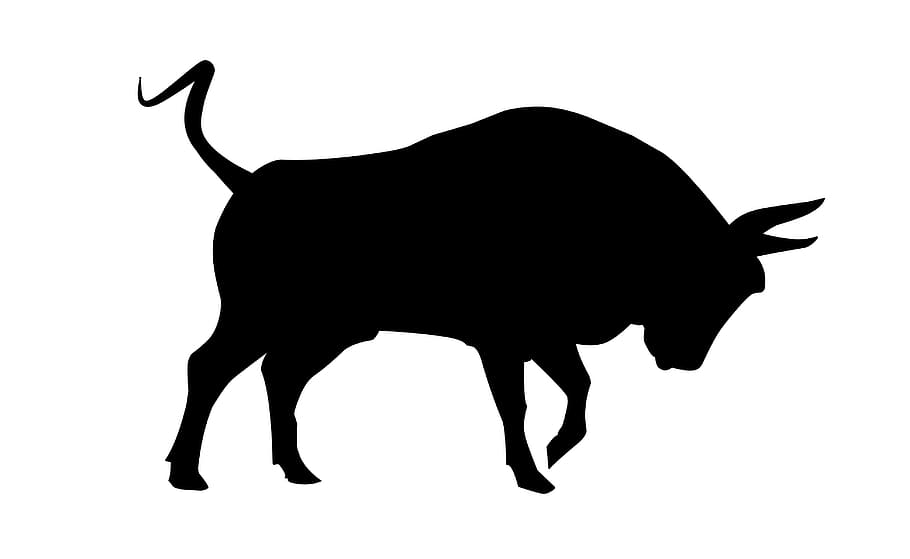 silhouette, bull, dangerous, fighter, bullfighter, creature, danger, spain, wild, cow