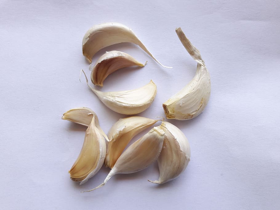 garlic cloves, isolated, white, background, garlic, white background, condiment, ripe, spicy, group