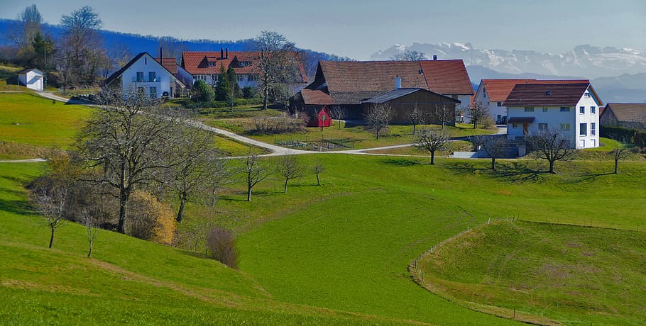 nature, landscape, switzerland, aargau, obersiggenthal, houses, reported, trees, fields, alpine
