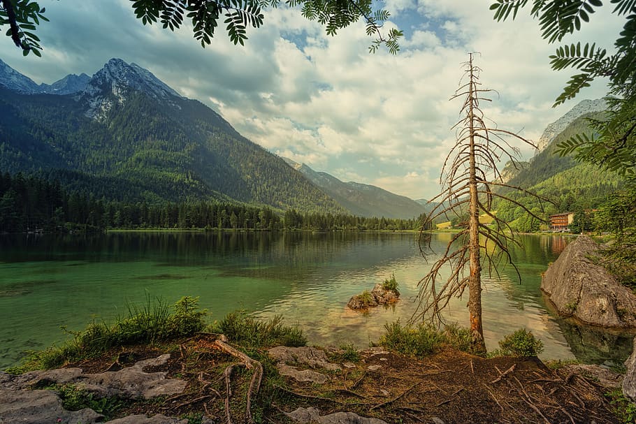 hintersee, mountains, ramsau, alpine, tree, dry, clouds, green, water, landscape