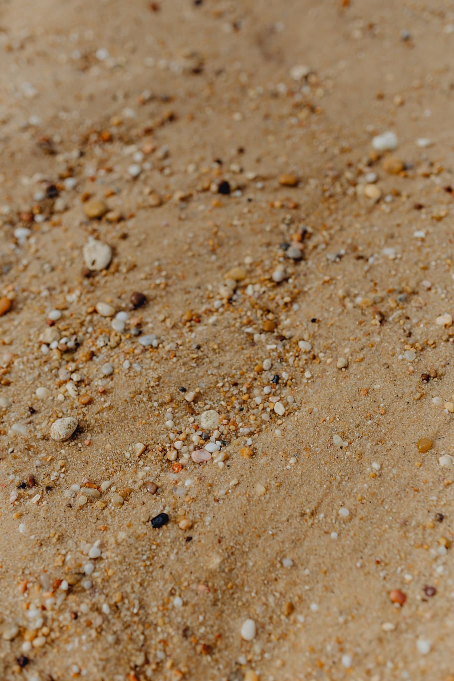 sand beach background, sea shells, &, pebbles, -, many, round, small, stones, beach
