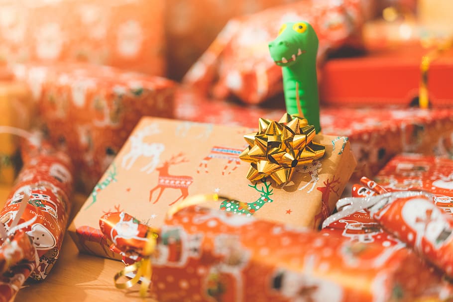 mainan, anjing, hadiah natal, natal, dekorasi natal, permen natal, waktu natal, pohon natal, desember, dekorasi